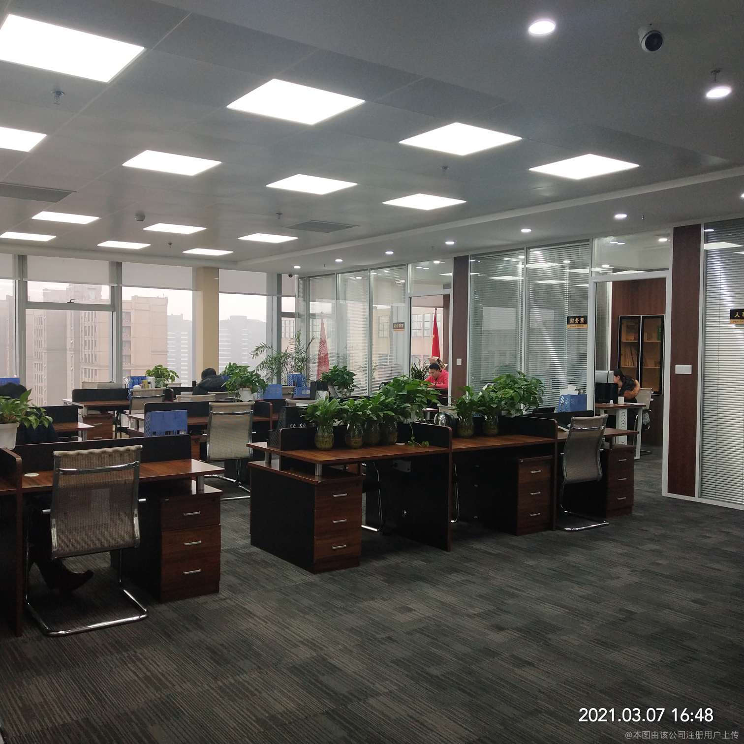 言啟商務(wù)信息咨詢 洞察數(shù)據(jù)，賦能決策